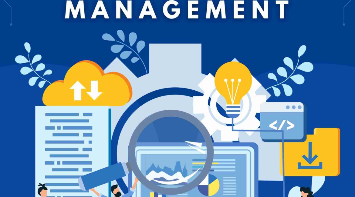 website design and management